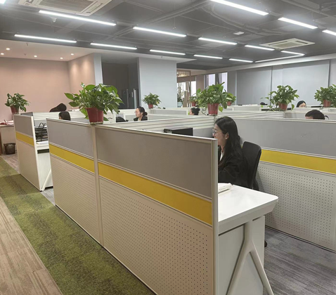 Environnement de l'entreprise